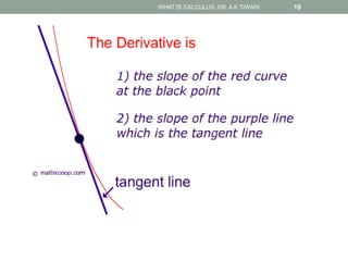 WHAT IS CALCULUS: DR. A K TIWARI 19
 