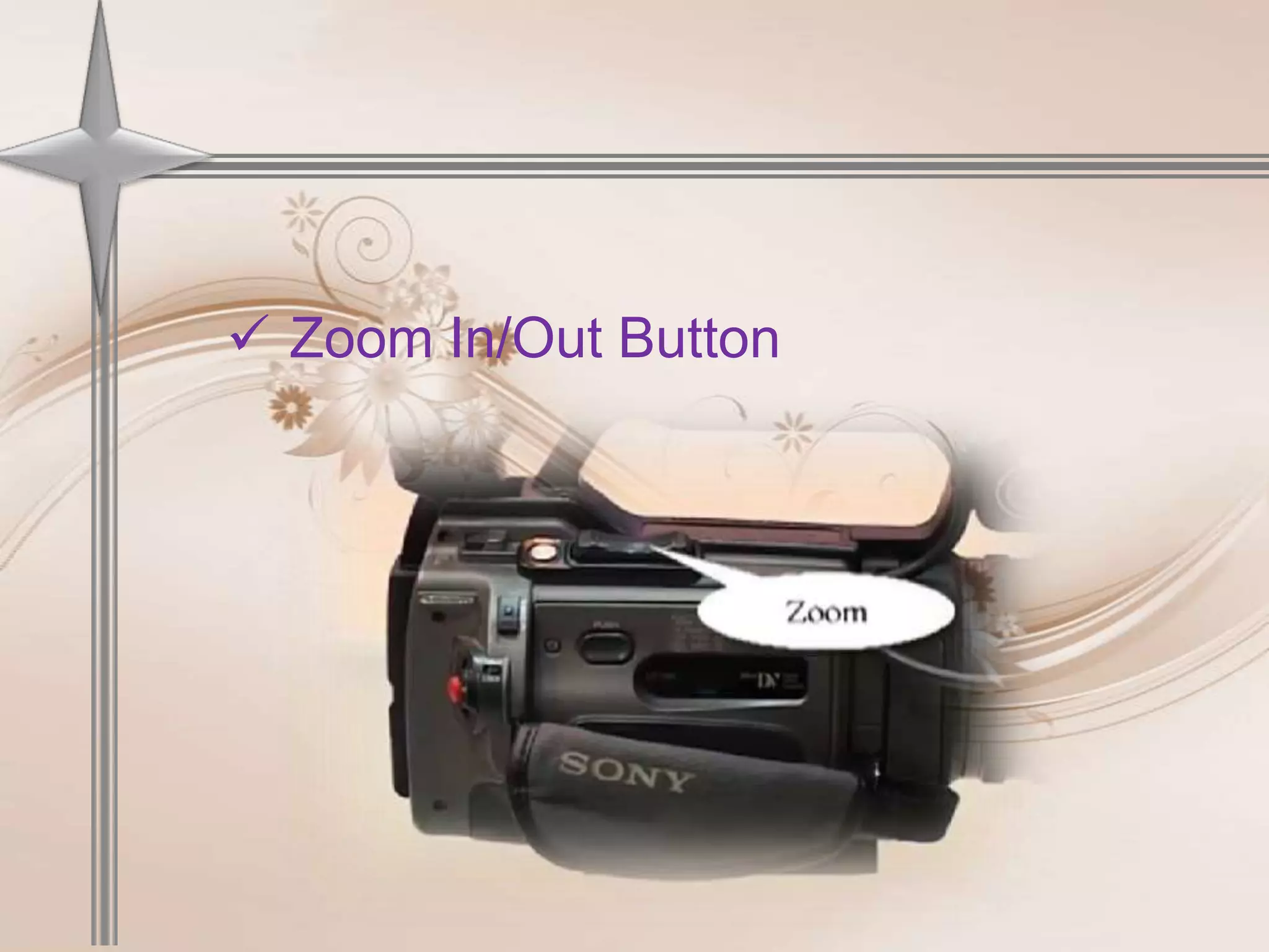  Zoom In/Out Button
 