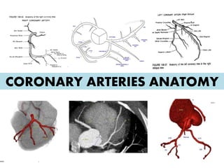 CORONARY ARTERIES ANATOMY
 