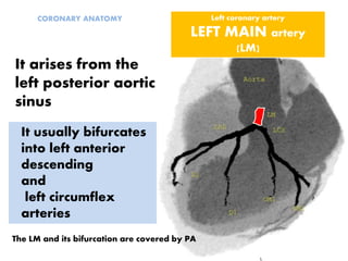 CORONARY ANATOMY
It usually bifurcates
into left anterior
descending
and
left circumflex
arteries
Left coronary artery
LEFT MAIN artery
(LM)
It arises from the
left posterior aortic
sinus
The LM and its bifurcation are covered by PA
 