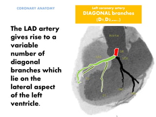 The LAD artery
gives rise to a
variable
number of
diagonal
branches which
lie on the
lateral aspect
of the left
ventricle.
CORONARY ANATOMY Left coronary artery
DIAGONAL branches
(D1,D2,…..)
 