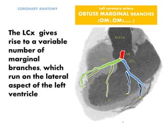 The LCx gives
rise to a variable
number of
marginal
branches, which
run on the lateral
aspect of the left
ventricle
Left coronary artery
OBTUSE MARGINAL BRANCHES
(OM1,OM2,…..)
CORONARY ANATOMY
 