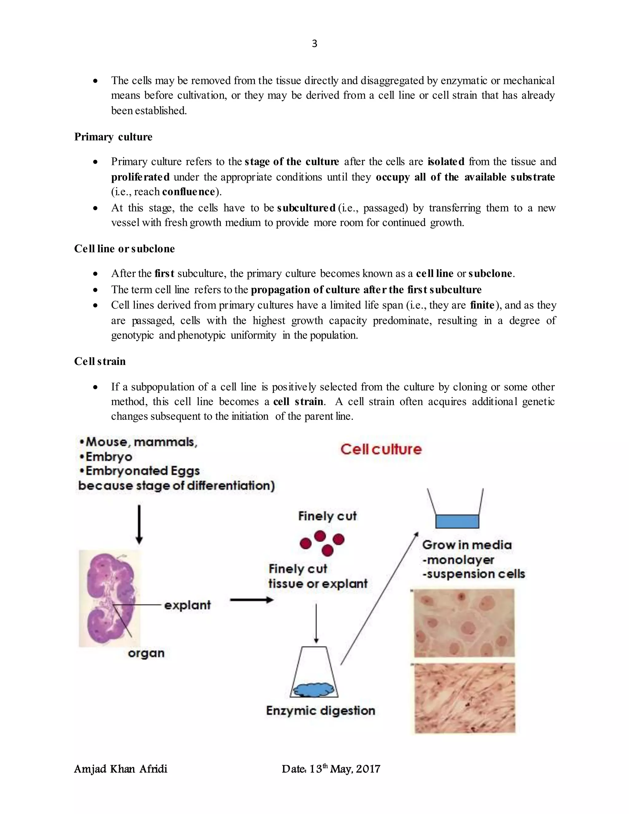 3
Amjad Khan Afridi Date: 13th
May, 2017
 The cells may be removed from the tissue directly and disaggregated by enzymatic or mechanical
means before cultivation, or they may be derived from a cell line or cell strain that has already
been established.
Primary culture
 Primary culture refers to the stage of the culture after the cells are isolated from the tissue and
proliferated under the appropriate conditions until they occupy all of the available substrate
(i.e., reach confluence).
 At this stage, the cells have to be subcultured (i.e., passaged) by transferring them to a new
vessel with fresh growth medium to provide more room for continued growth.
Cell line or subclone
 After the first subculture, the primary culture becomes known as a cell line or subclone.
 The term cell line refers to the propagation of culture after the first subculture
 Cell lines derived from primary cultures have a limited life span (i.e., they are finite), and as they
are passaged, cells with the highest growth capacity predominate, resulting in a degree of
genotypic and phenotypic uniformity in the population.
Cell strain
 If a subpopulation of a cell line is positively selected from the culture by cloning or some other
method, this cell line becomes a cell strain. A cell strain often acquires additional genetic
changes subsequent to the initiation of the parent line.
 