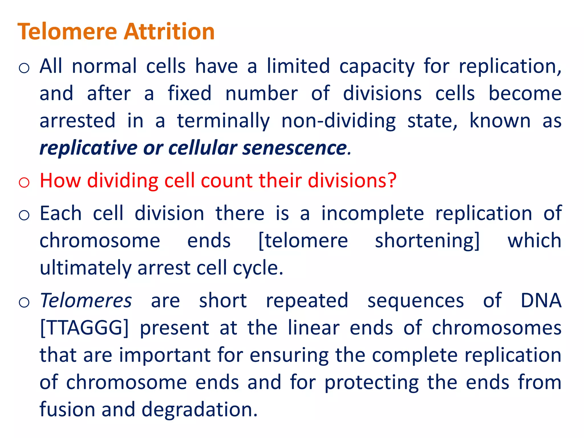Which Statement About Cellular Aging Is True Basics of cellular aging and | PPT