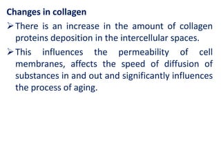 Changes in collagen
There is an increase in the amount of collagen
proteins deposition in the intercellular spaces.
This influences the permeability of cell
membranes, affects the speed of diffusion of
substances in and out and significantly influences
the process of aging.
 