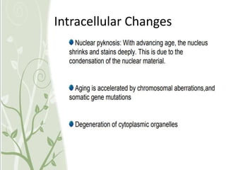 Intracellular Changes
 