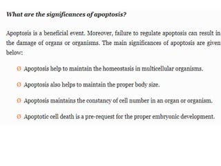 Basics of cellular aging and