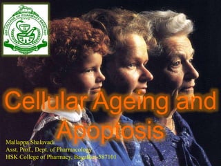 Cellular Ageing and
ApoptosisMallappa Shalavadi
Asst. Prof., Dept. of Pharmacology
HSK College of Pharmacy, Bagalkot-587101
 