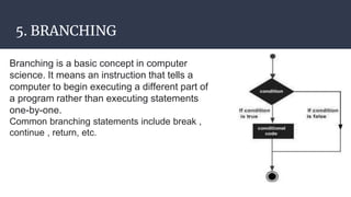 Basics of coding | PPTX