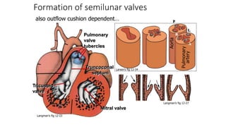 Basics of congenital heart disease | PPTX