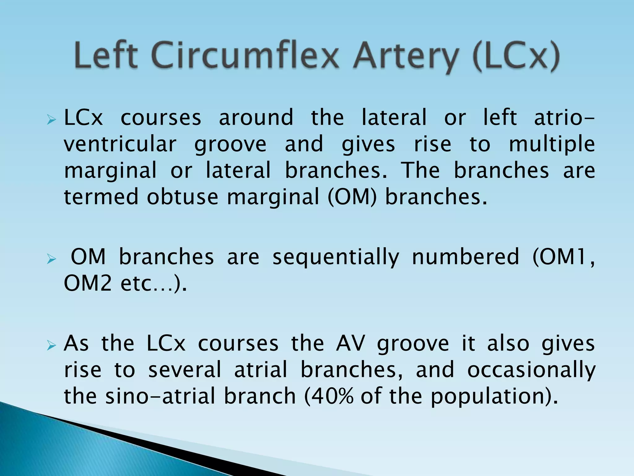    LCx courses around the lateral or left atrio-
    ventricular groove and gives rise to multiple
    marginal or lateral branches. The branches are
    termed obtuse marginal (OM) branches.

   OM branches are sequentially numbered (OM1,
    OM2 etc…).

   As the LCx courses the AV groove it also gives
    rise to several atrial branches, and occasionally
    the sino-atrial branch (40% of the population).
 
