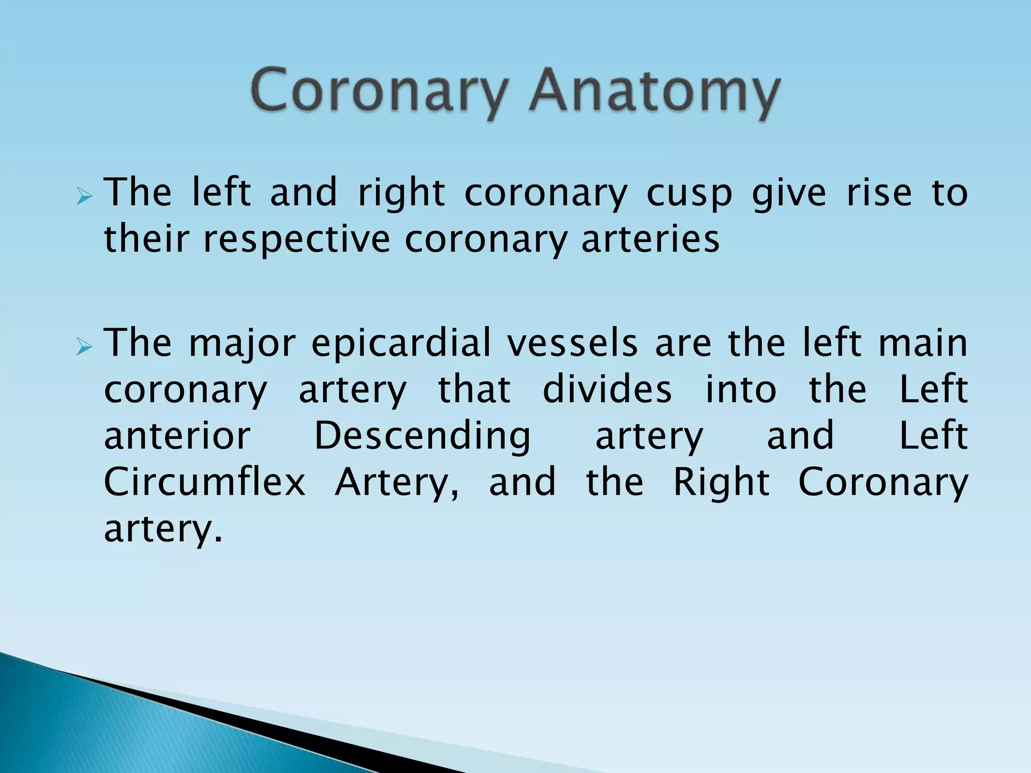    The left and right coronary cusp give rise to
    their respective coronary arteries

   The major epicardial vessels are the left main
    coronary artery that divides into the Left
    anterior  Descending     artery    and     Left
    Circumflex Artery, and the Right Coronary
    artery.
 