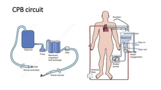Basics of cpb | PPTX