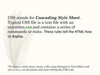 basics of css | PPT