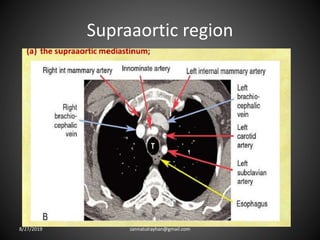 Supraaortic region
8/27/2019 zannatulrayhan@gmail.com
 