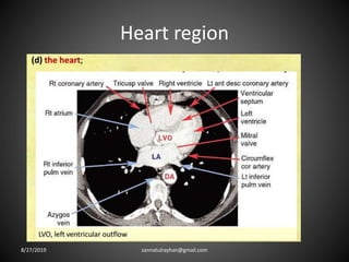 Heart region
8/27/2019 zannatulrayhan@gmail.com
 