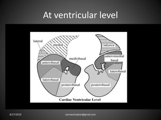 At ventricular level
8/27/2019 zannatulrayhan@gmail.com
 