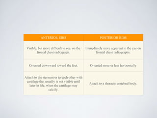 ANTERIOR RIBS POSTERIOR RIBS
Visible, but more difficult to see, on the
frontal chest radiograph.
Immediately more apparent to the eye on
frontal chest radiographs.
Oriented downward toward the feet. Oriented more or less horizontally
Attach to the sternum or to each other with
cartilage that usually is not visible until
later in life, when the cartilage may
calcify.
Attach to a thoracic vertebral body.
 