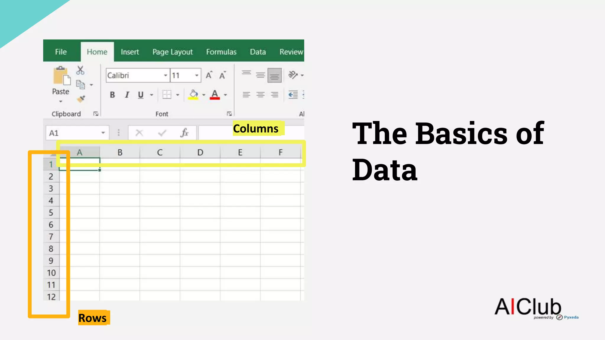The Basics of
Data
Columns
Rows
 
