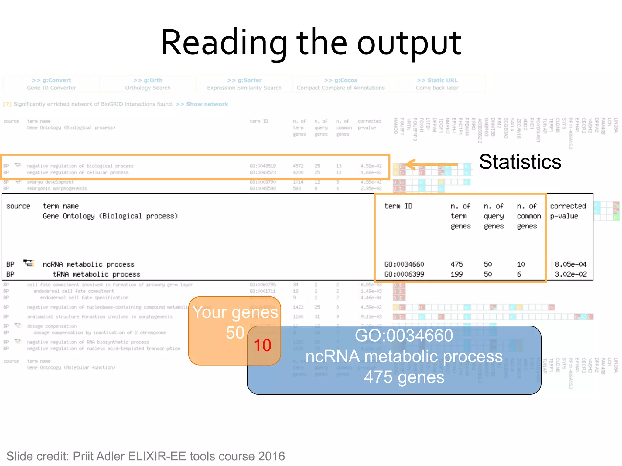 Reading#the#output#
Statistics
Your genes
50 GO:0034660
ncRNA metabolic process
475 genes
10
Slide credit: Priit Adler ELIXIR-EE tools course 2016
 