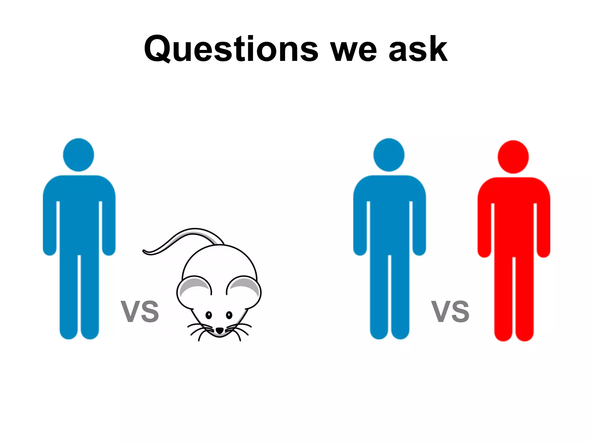 VSVS
Questions we ask
 