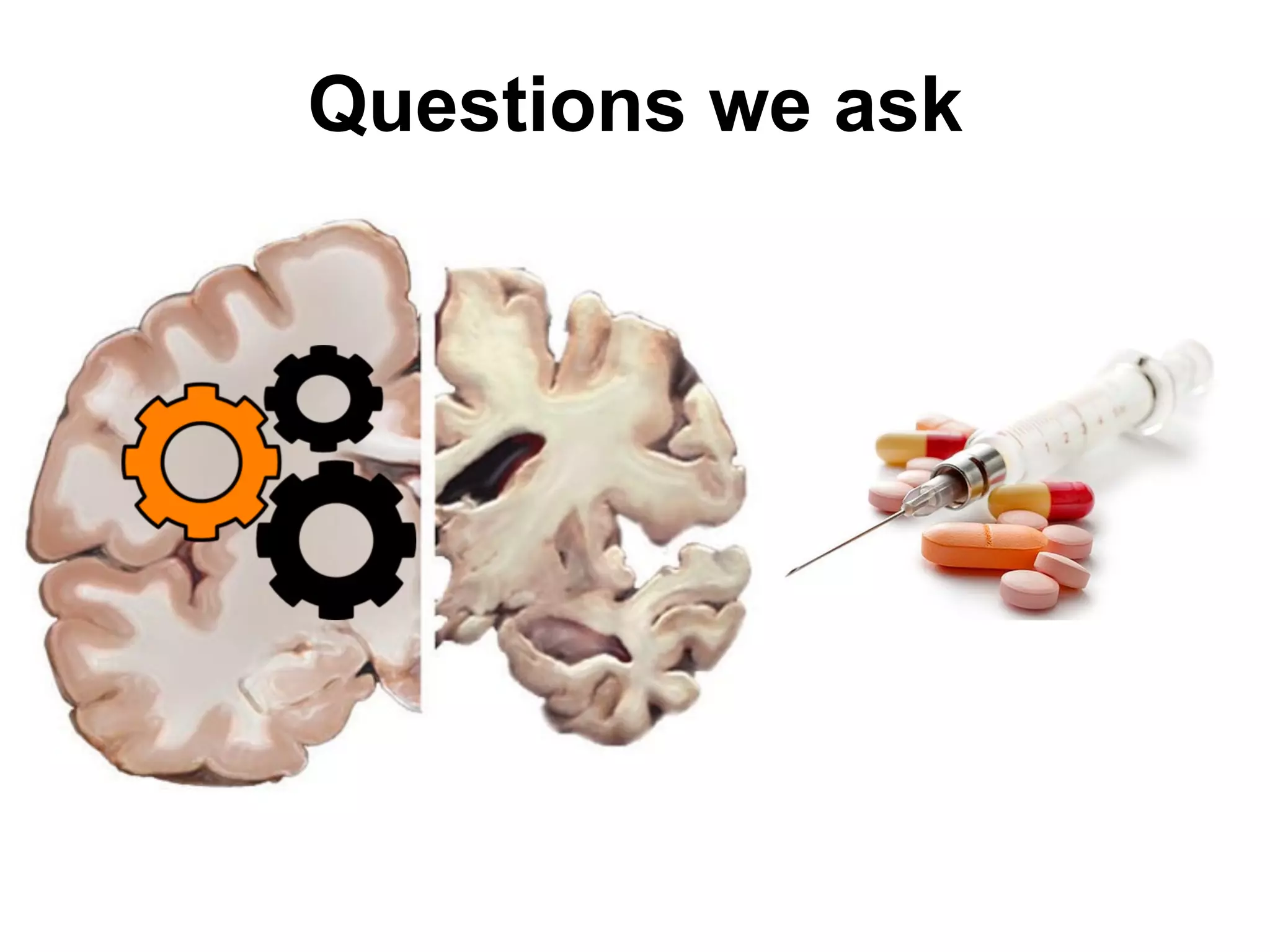 Questions we ask
 