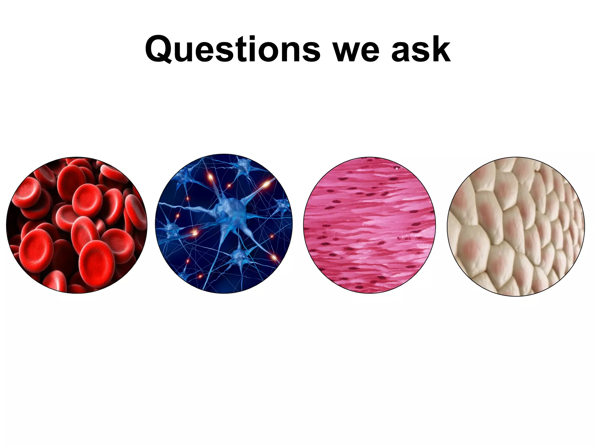 Questions we ask
 