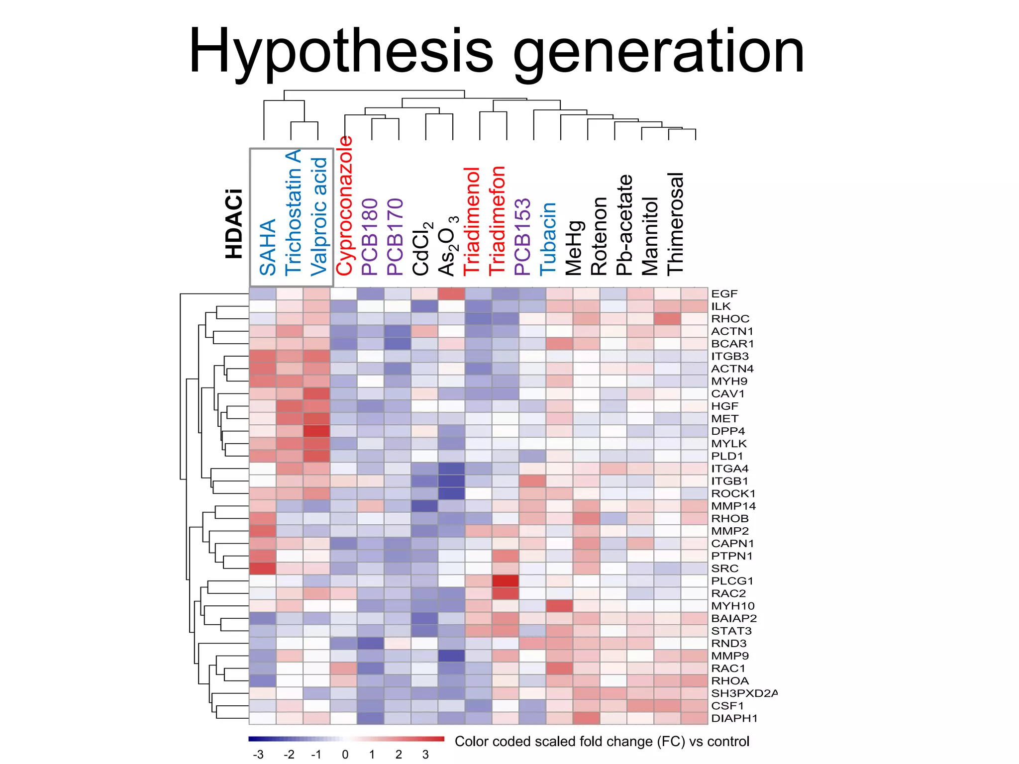 Hypothesis generation
SAHA
Trichosta
Valproic
Cyproco
PC80
PC70
CdC
AO3
Triadime
Triadime
PC53
Tubacin
CH3HgC
Rotenon
Pb.aceta
Mannitol
Thimero
EGF
ILK
RHOC
ACTN1
BCAR1
ITGB3
ACTN4
MYH9
CAV1
HGF
MET
DPP4
MYLK
PLD1
ITGA4
ITGB1
ROCK1
MMP14
RHOB
MMP2
CAPN1
PTPN1
SRC
PLCG1
RAC2
MYH10
BAIAP2
STAT3
RND3
MMP9
RAC1
RHOA
SH3PXD2A
CSF1
DIAPH1
-3
-2
-1
0
1
2
3
SAHA
TrichostatinA
Valproicacid
Cyproconazole
PCB180
PCB170
CdCl2
As2O3
Triadimenol
Triadimefon
PCB153
Tubacin
MeHg
Rotenon
Pb-acetate
Mannitol
Thimerosal
SAHA
Trichostatin.A
Valproic.acid
Cyproconazole
PC80
PC70
CdC
AO3
Triadimenol
Triadimefon
PC53
Tubacin
CH3HgCl
Rotenon
Pb.acetate
Mannitol
Thimerosal
EGF
ILK
RHOC
ACTN1
BCAR1
ITGB3
ACTN4
MYH9
CAV1
HGF
MET
DPP4
MYLK
PLD1
ITGA4
ITGB1
ROCK1
MMP14
RHOB
MMP2
CAPN1
PTPN1
SRC
PLCG1
RAC2
MYH10
BAIAP2
STAT3
RND3
MMP9
RAC1
RHOA
SH3PXD2A
CSF1
DIAPH1
-3
-2
-1
0
1
2
3
HDACi
EGF
ILK
RHOC
ACTN1
BCAR1
ITGB3
ACTN4
MYH9
CAV1
HGF
MET
DPP4
MYLK
PLD1
ITGA4
ITGB1
ROCK1
MMP14
RHOB
MMP2
CAPN1
PTPN1
SRC
PLCG1
RAC2
MYH10
BAIAP2
STAT3
-3
-2
-1
0
1
2
3
-3 -2 -1 0 1 2 3
Color coded scaled fold change (FC) vs control
 