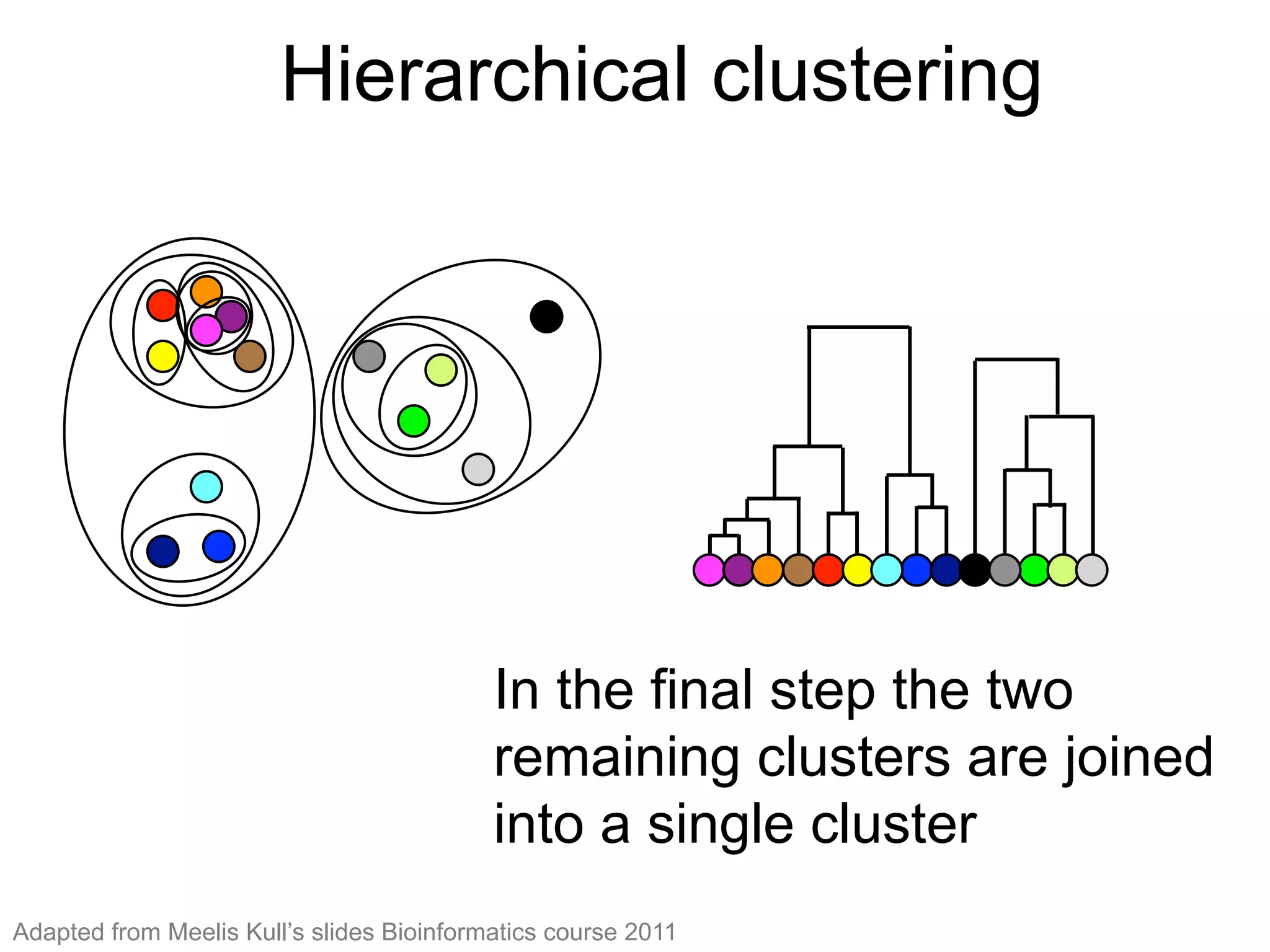 Hierarchical clustering (12)
In the ﬁnal step the two
remaining clusters are joined into
a single cluster
In the final step the two
remaining clusters are joined
into a single cluster
Hierarchical clustering
Adapted from Meelis Kull’s slides Bioinformatics course 2011
 