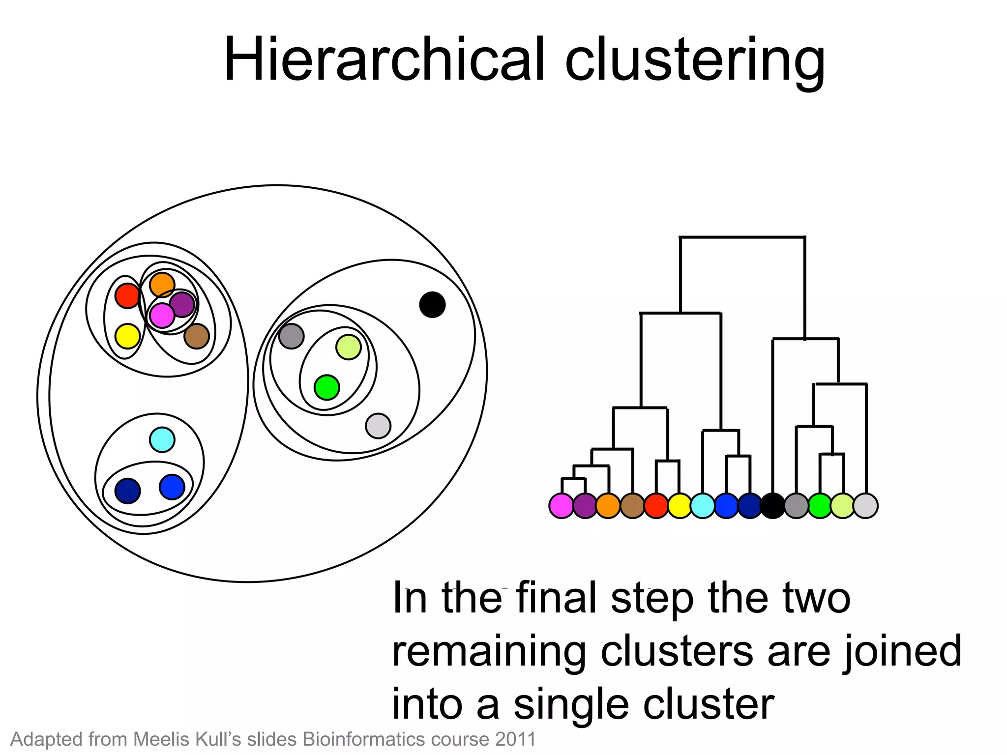 Hierarchical clustering (13)
In the ﬁnal step the two
remaining clusters are joined into
a single cluster
In the final step the two
remaining clusters are joined
into a single cluster
Hierarchical clustering
Adapted from Meelis Kull’s slides Bioinformatics course 2011
 