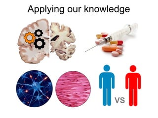 Applying our knowledge
VS
 