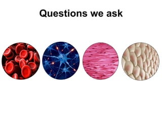 Questions we ask
 