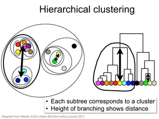 •  Each subtree corresponds to a cluster
•  Height of branching shows distance
Hierarchical clustering
• Each subtree corresponds to a cluste
• Height of branching shows distance
Hierarchical clustering
Adapted from Meelis Kull’s slides Bioinformatics course 2011
 
