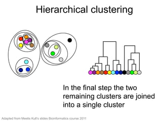 Hierarchical clustering (12)
In the ﬁnal step the two
remaining clusters are joined into
a single cluster
In the final step the two
remaining clusters are joined
into a single cluster
Hierarchical clustering
Adapted from Meelis Kull’s slides Bioinformatics course 2011
 
