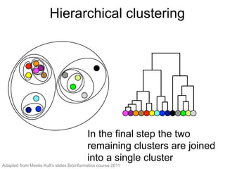 Hierarchical clustering (13)
In the ﬁnal step the two
remaining clusters are joined into
a single cluster
In the final step the two
remaining clusters are joined
into a single cluster
Hierarchical clustering
Adapted from Meelis Kull’s slides Bioinformatics course 2011
 