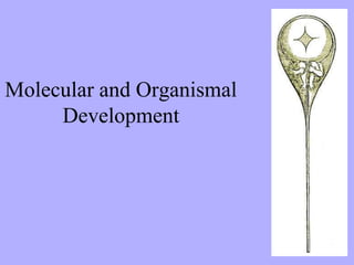 Molecular and Organismal
Development
 