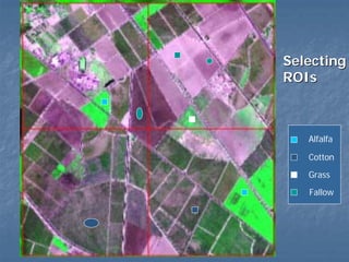 Selecting
ROIs

Alfalfa
Cotton
Grass
Fallow

 