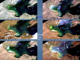 154

155
Cloud
155

160
162
MODIS
True
143

163

164

 
