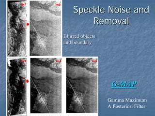 Speckle Noise and
Removal
Blurred objects
and boundary

G-MAP
Gamma Maximum
A Posteriori Filter

 