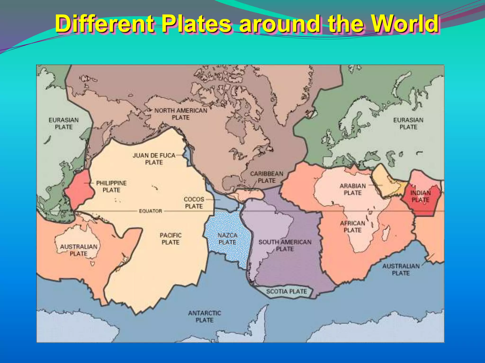 Different Plates around the World
 