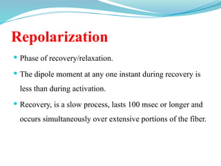 Repolarization
 Phase of recovery/relaxation.
 The dipole moment at any one instant during recovery is
less than during activation.
 Recovery, is a slow process, lasts 100 msec or longer and
occurs simultaneously over extensive portions of the fiber.
 