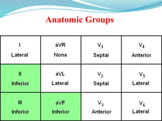 Anatomic Groups
 