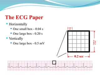 The ECG Paper
 Horizontally
 One small box - 0.04 s
 One large box - 0.20 s
 Vertically
 One large box - 0.5 mV
 