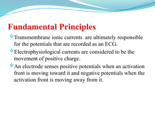 Fundamental Principles
Transmembrane ionic currents are ultimately responsible
for the potentials that are recorded as an ECG.
Electrophysiological currents are considered to be the
movement of positive charge.
An electrode senses positive potentials when an activation
front is moving toward it and negative potentials when the
activation front is moving away from it.
 