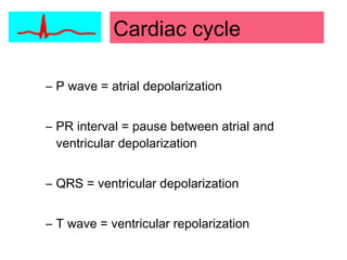 – P wave = atrial depolarization
– PR interval = pause between atrial and
ventricular depolarization
– QRS = ventricular depolarization
– T wave = ventricular repolarization
Cardiac cycle
 