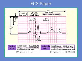Basics of ecg | PDF