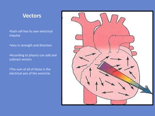 Basics of ecg | PDF