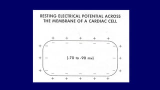 Basics of ECG - interpretation with case studies.ppt