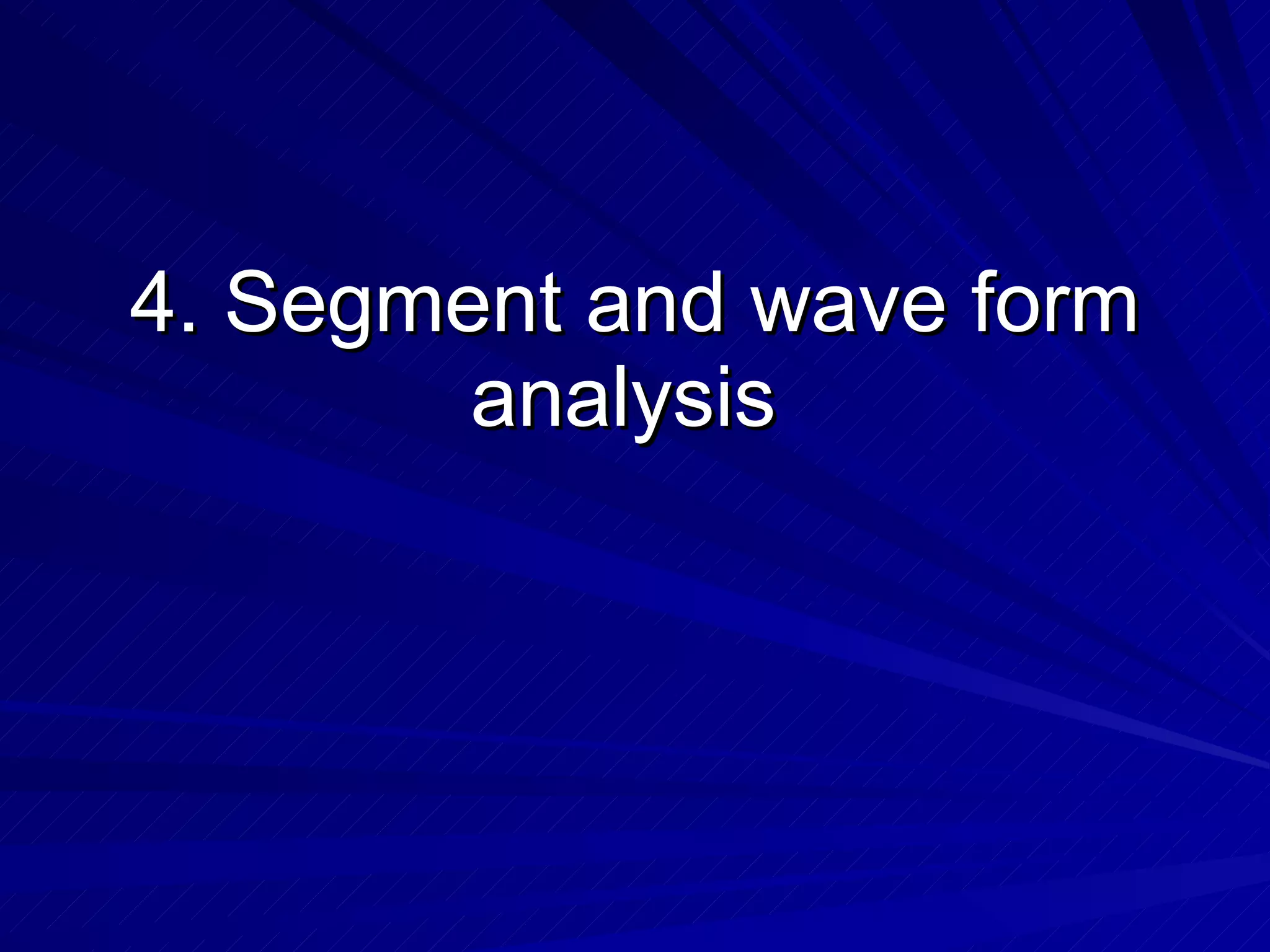 4. Segment and wave form analysis  