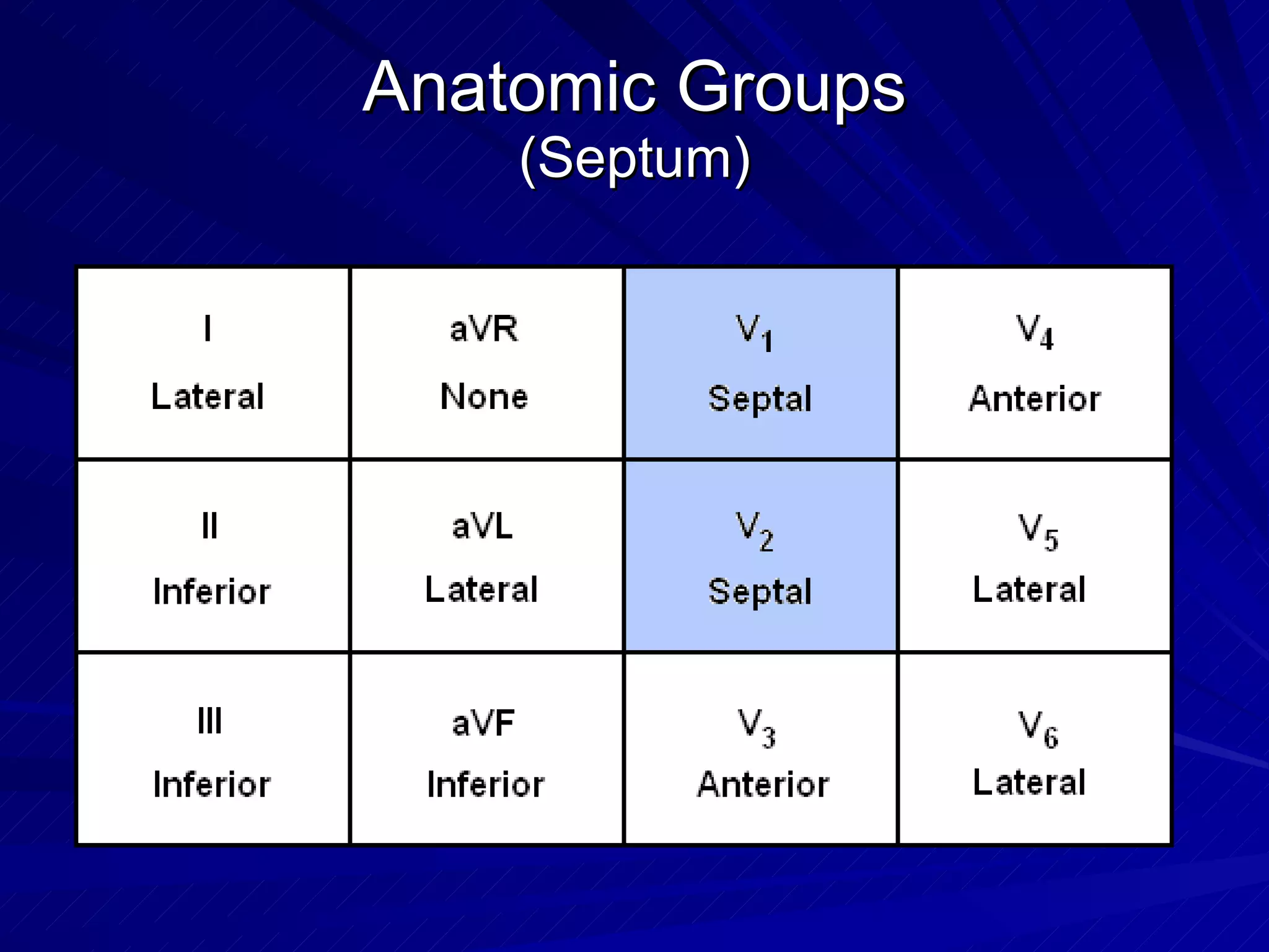 Anatomic Groups (Septum) 